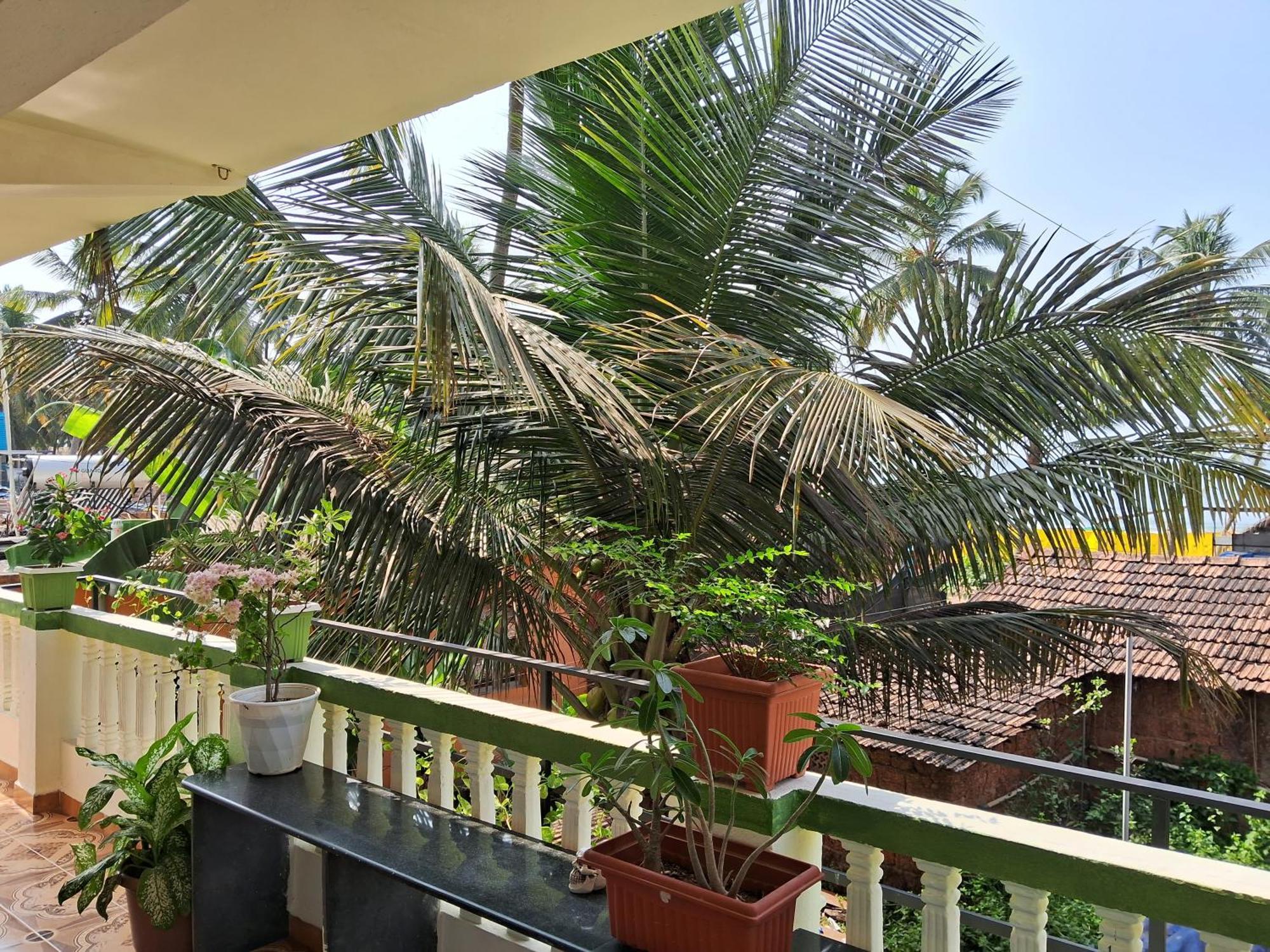 Cupid'S Heaven Resort Agonda Habitación foto